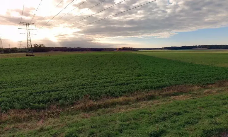 Prodej pole, Týnec nad Labem, 6828 m2