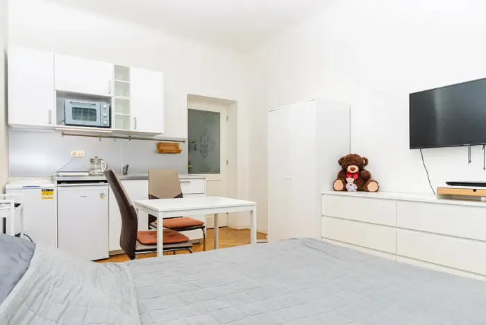 Prodej bytu 1+kk, Praha - Žižkov, Slavíkova, 22 m2