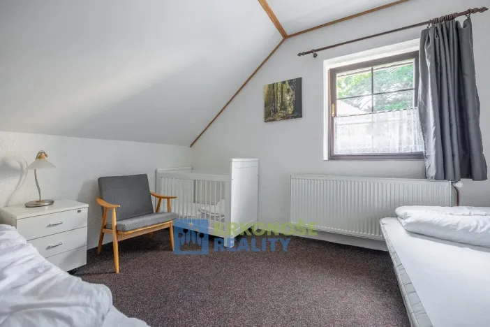 Prodej chaty, Černý Důl, 340 m2