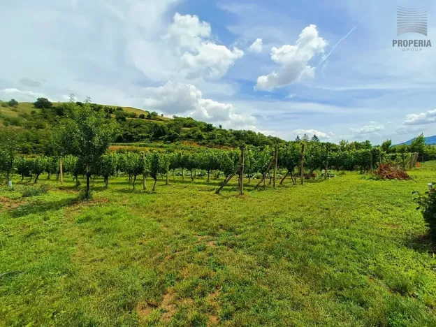 Prodej sadu/vinice, Pouzdřany, 1120 m2