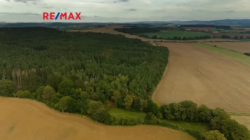 Prodej lesa, Všehrdy, 35057 m2