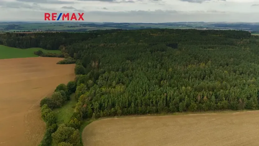 Prodej lesa, Všehrdy, 35057 m2