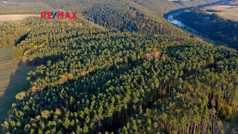 Prodej lesa, Všehrdy, 35057 m2