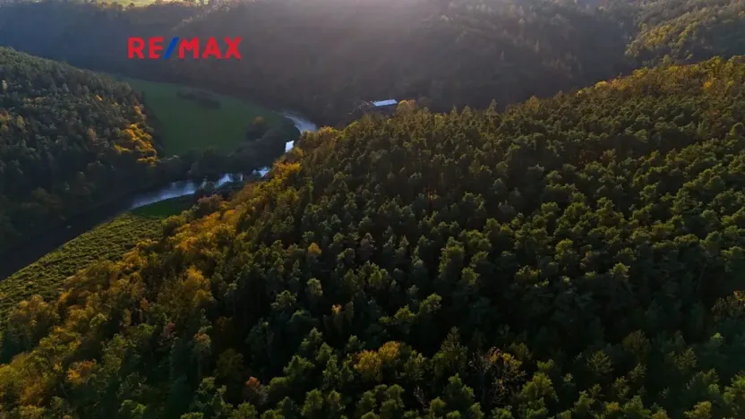 Prodej lesa, Všehrdy, 35057 m2