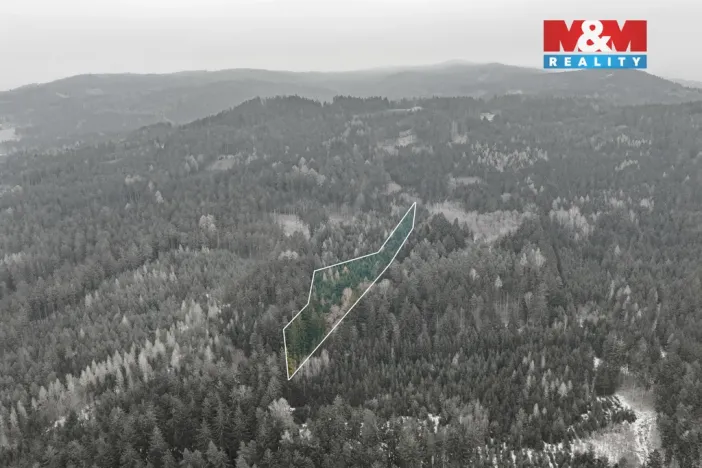 Prodej lesa, Hůrky, 6294 m2