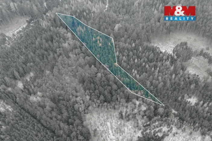 Prodej lesa, Hůrky, 6294 m2