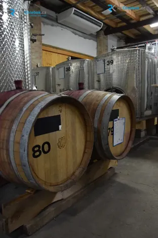 Prodej rodinného domu, Moravská Nová Ves, Pod Kostelem, 108 m2