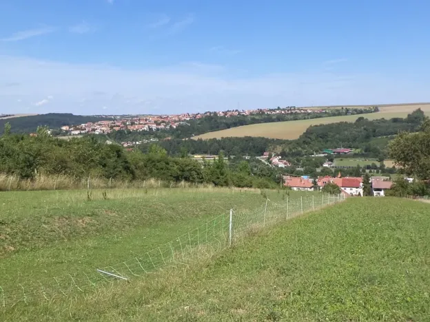 Dražba louky, Podolí, 10906 m2