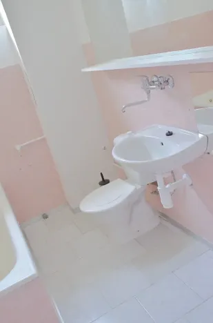 Pronájem bytu 2+1, Praha - Hodkovičky, Mezi lysinami, 80 m2