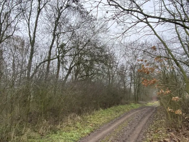 Prodej lesa, Městečko Trnávka - Lázy, 856 m2