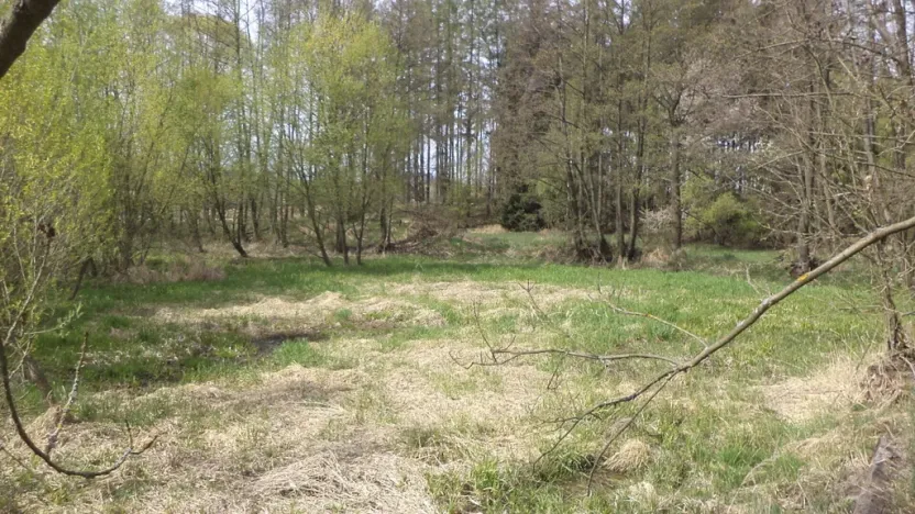 Prodej pole, Mezno - Stupčice, 8388 m2