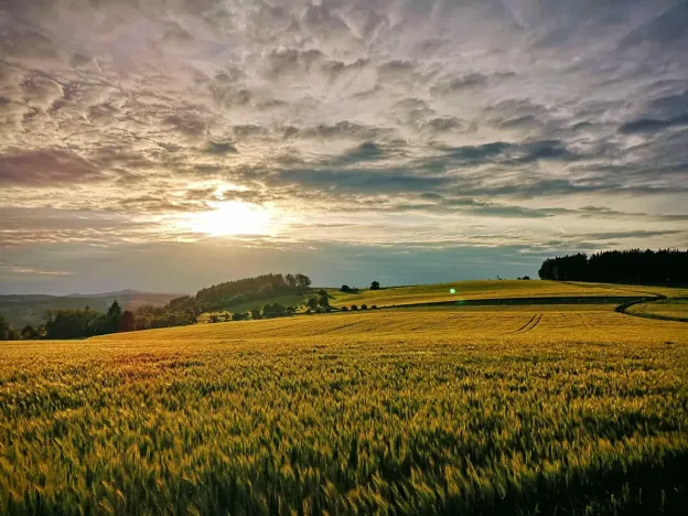 Prodej chalupy, Pecka, 300 m2