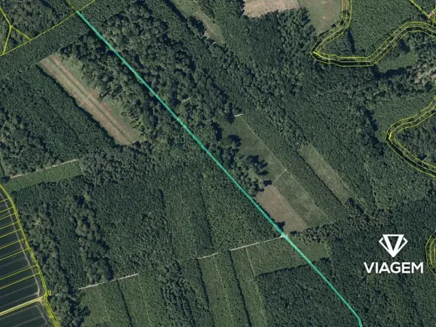 Prodej podílu lesa, Uhřičice, 2304 m2