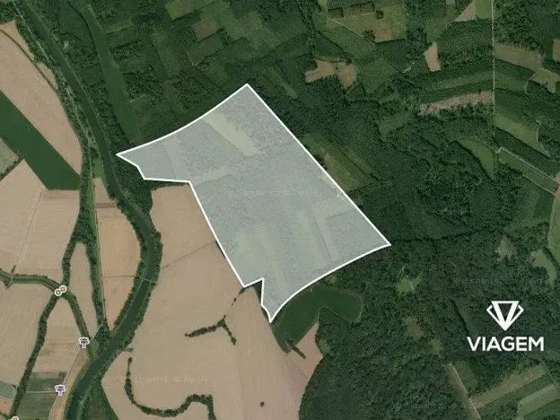 Prodej podílu lesa, Uhřičice, 2517 m2