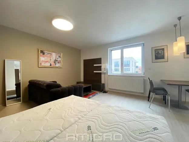 Pronájem bytu 1+kk, Brno, Reissigova, 41 m2