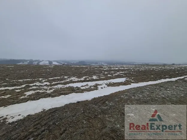 Prodej pole, Nový Rychnov, 73681 m2