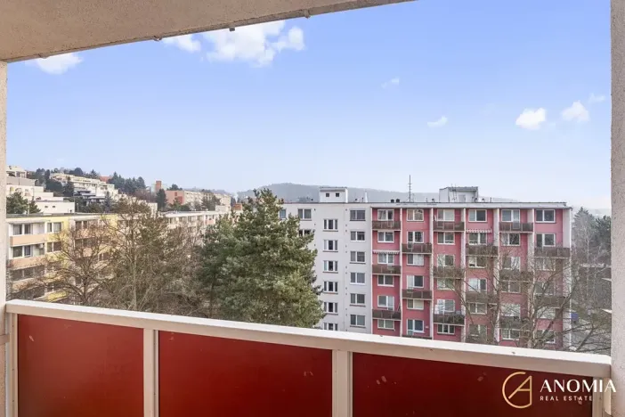 Pronájem bytu 1+1, Brno, Vavřinecká, 35 m2