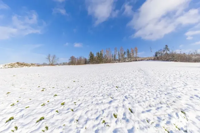 Prodej komerčního pozemku, Valchov, 8679 m2