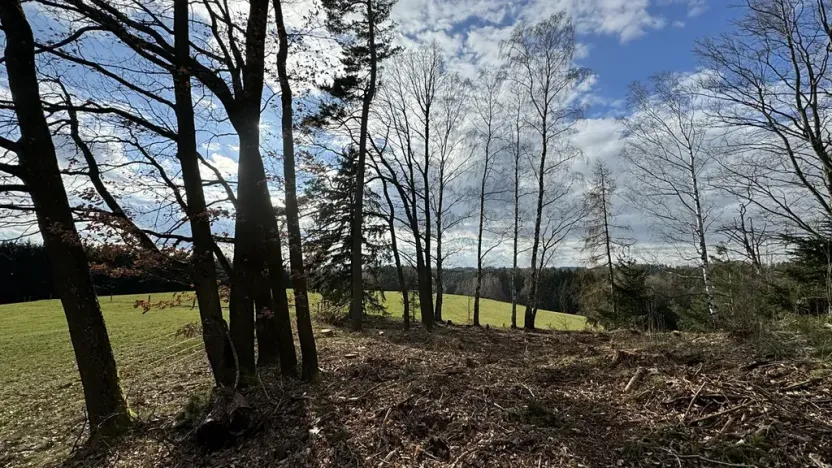 Prodej lesa, Pecka, 35108 m2