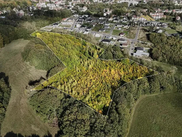 Prodej pozemku, Dubí, 25736 m2