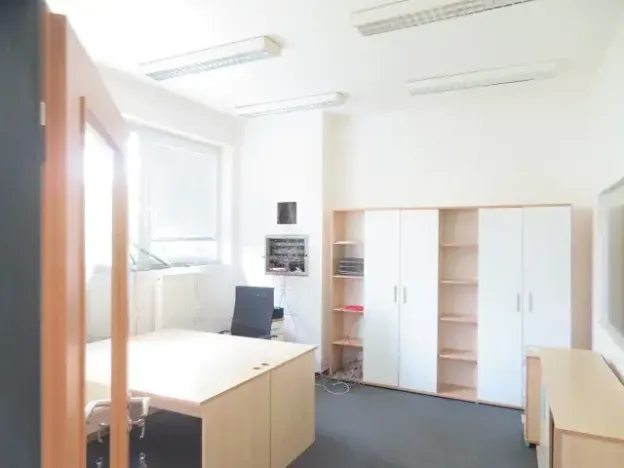 Dražba výrobních prostor, Hranice, Družstevní, 11567 m2