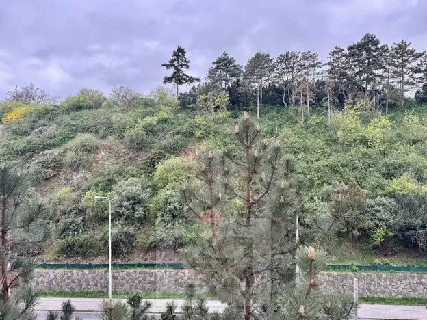 Pronájem bytu 2+1, Brno, 53 m2