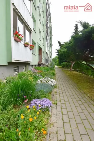 Pronájem bytu 1+1, Chomutov, Dřínovská, 35 m2