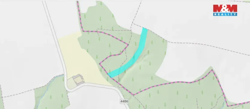 Prodej lesa, Olbramice, 12592 m2