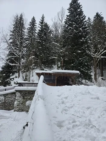 Prodej bytu 1+kk, Špindlerův Mlýn, 25 m2