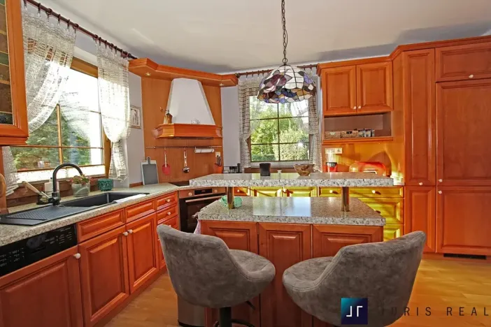 Prodej rodinného domu, Ústí nad Labem, Průchodní, 281 m2