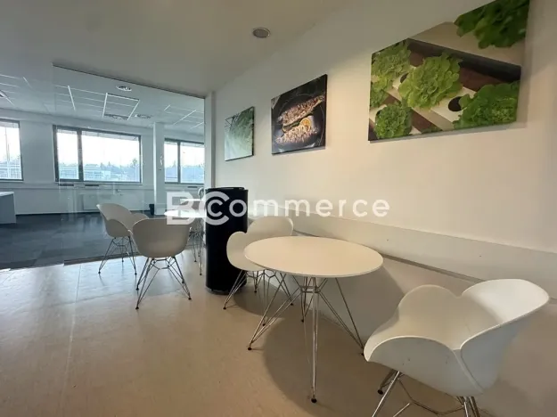 Pronájem kanceláře, Brno, 1020 m2