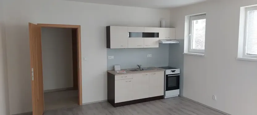 Pronájem bytu 1+kk, České Budějovice, Pekárenská, 30 m2