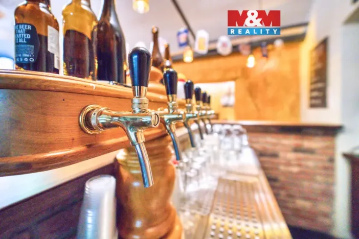 Pronájem obchodního prostoru, Plzeň - Jižní Předměstí, Americká, 102 m2