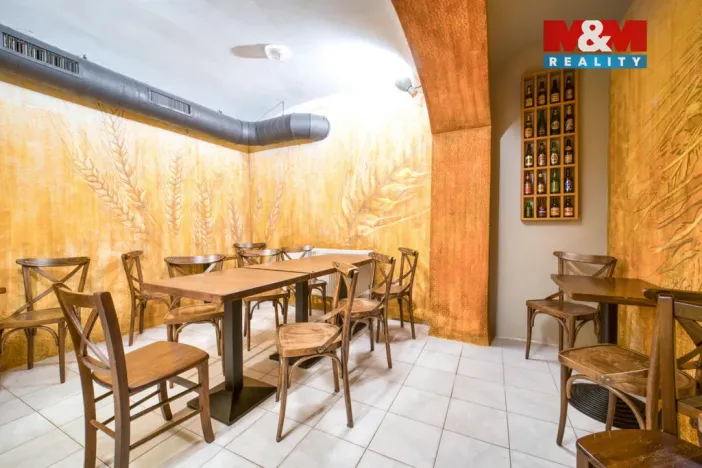 Pronájem obchodního prostoru, Plzeň - Jižní Předměstí, Americká, 102 m2