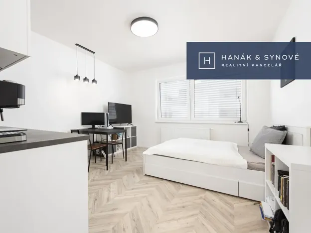 Pronájem bytu 1+kk, Brno, Cejl, 26 m2