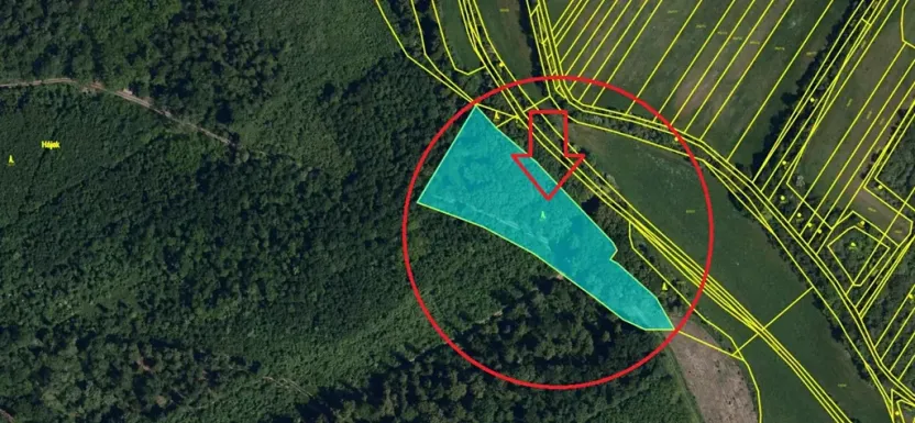 Prodej lesa, Čejkovice, 8895 m2