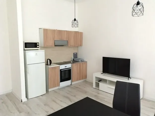 Pronájem bytu 2+1, Teplice, Vrchlického, 56 m2