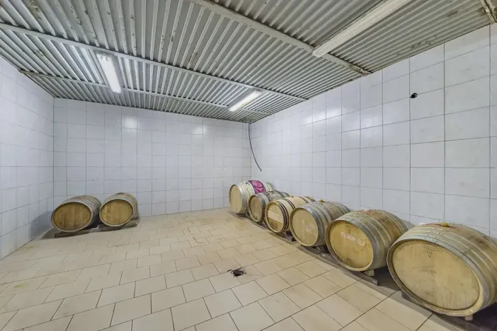 Prodej výrobních prostor, Velké Pavlovice, Trávníky, 2000 m2