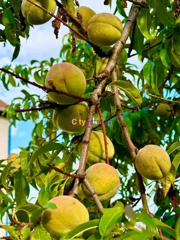 Prodej rodinného domu, Brandýs nad Labem-Stará Boleslav, Karla Šebora, 160 m2