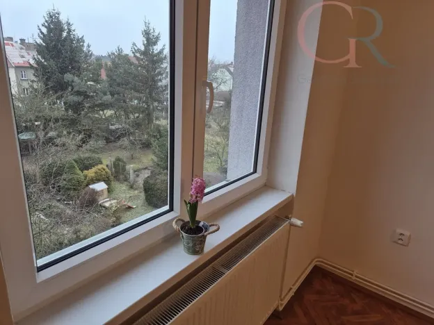 Prodej bytu 2+1, Plzeň - Východní Předměstí, Rychtaříkova, 51 m2