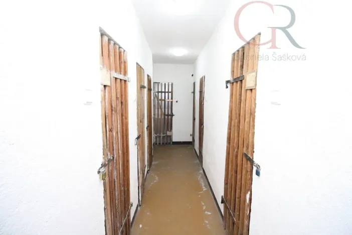 Prodej bytu 2+1, Plzeň - Východní Předměstí, Rychtaříkova, 51 m2