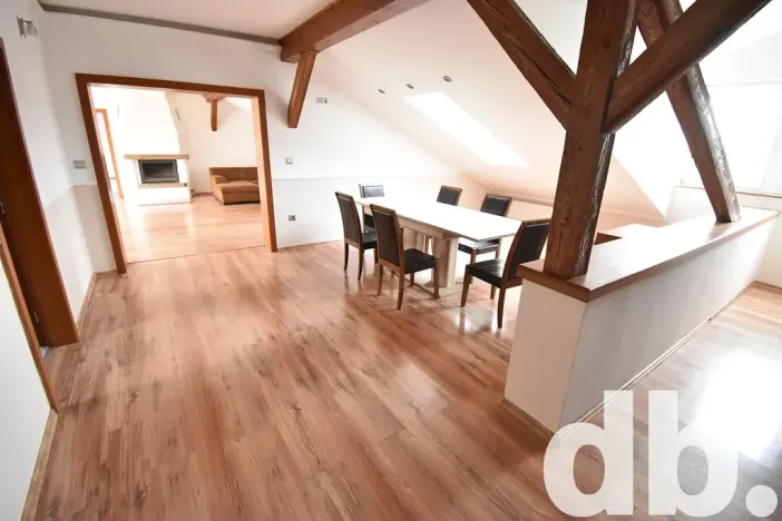 Pronájem bytu 4+kk, Karlovy Vary, Západní, 240 m2