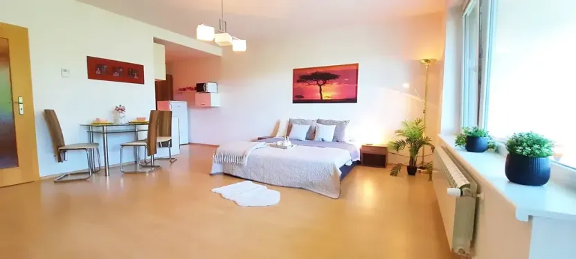 Pronájem bytu 1+kk, Brno, Šemberova, 48 m2