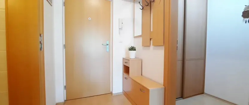 Pronájem bytu 1+kk, Brno, Šemberova, 48 m2