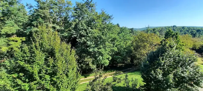 Pronájem bytu 1+kk, Brno, Šemberova, 48 m2