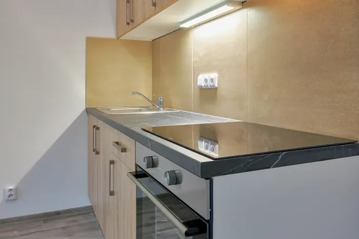 Pronájem bytu 1+kk, Plzeň, Železniční, 40 m2