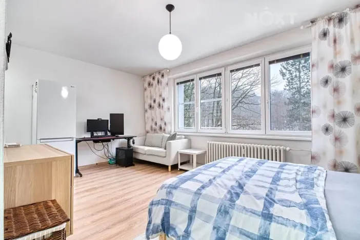 Pronájem bytu 1+kk, Orlová, Květinová, 31 m2