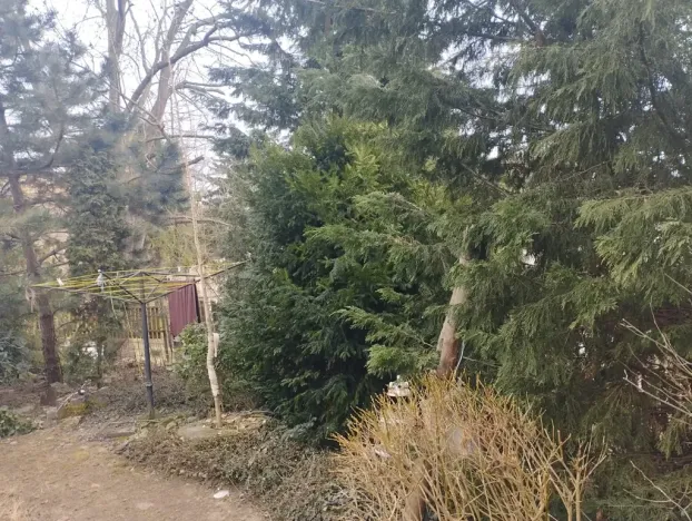 Dražba rodinného domu, Štětí, 86 m2