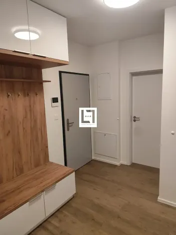 Pronájem bytu 2+kk, Olomouc, Loudova, 50 m2