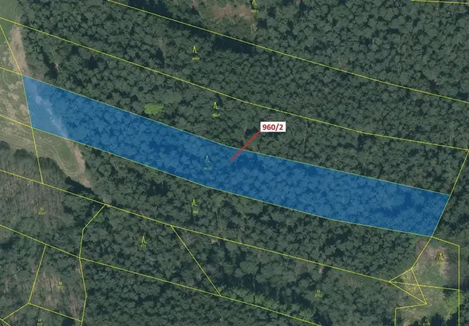 Dražba lesa, Psárov, 7607 m2